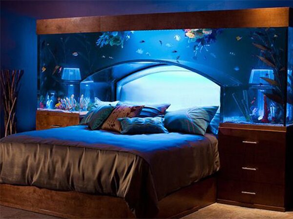 Top 7 Aquarium Designs For Your Interior Design