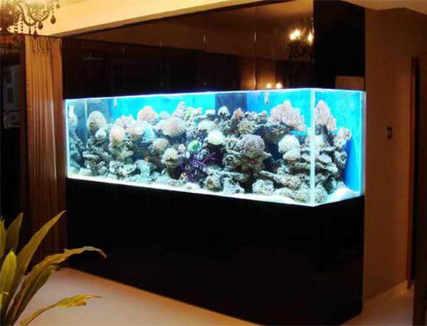 fish tank modern