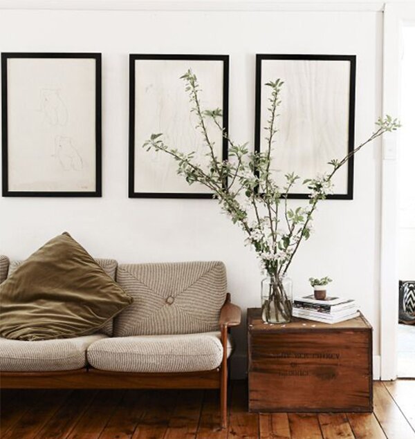 rustic living room decor plants