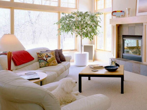 charming natural living room decor