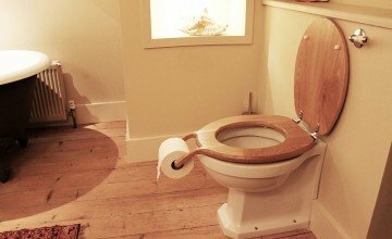 creative toilet seat